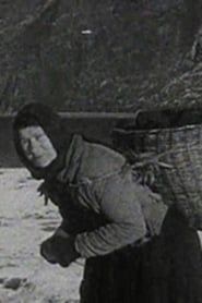A Crofter's Life in the Shetlands (1931)