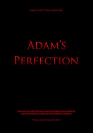 Adam's Perfection series tv