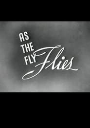 Image As the Fly Flies