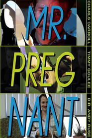 Mr. Pregnant series tv