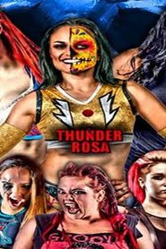 Affiche de Girl Fight Wrestling 11