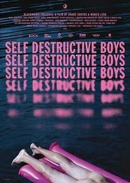 Self Destructive Boys (2018)