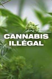 Image Cannabis illégal