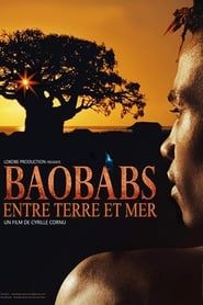 Image Baobabs, entre terre et mer