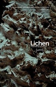 Lichen-hd