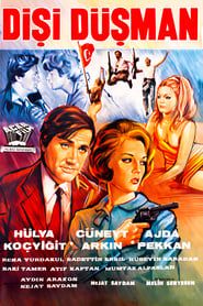 Dişi Düşman (1966)