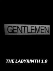 The Labyrinth 1.0 series tv