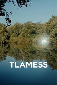 Tlamess series tv