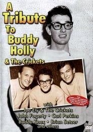 A Tribute To Buddy Holly And The Crickets series tv