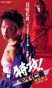 特攻！ヤンママ仁義 (1995)