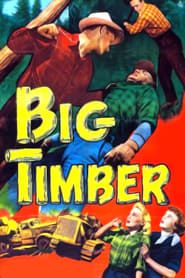 watch Big Timber