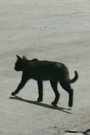 Traversée de chat (2000)