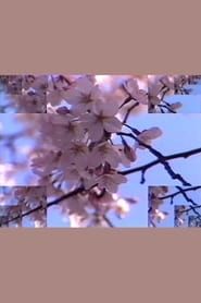 Image Rock Video: Cherry Blossom 1986