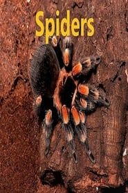 Spiders (2018)