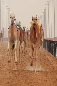 The Camel Race series tv