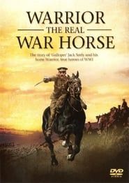 Image Warrior: The Real War Horse