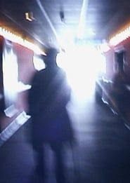 Stan Brakhage Exits the Cinema and Enters the Light of Day (2002)