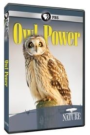 Owl Power series tv