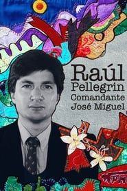 Raúl Pellegrin, Comandante José Miguel series tv