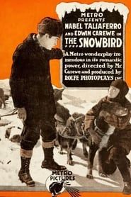 Image The Snowbird 1916