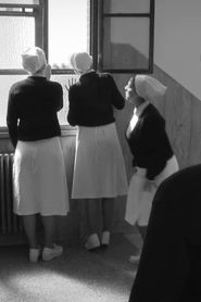 Las enfermeras de Evita series tv