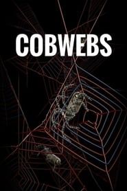 Cobwebs series tv