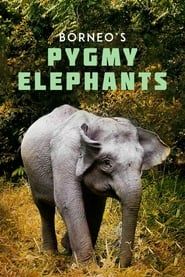 Borneo's Pygmy Elephants series tv