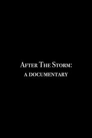 After the Storm: A Documentary series tv