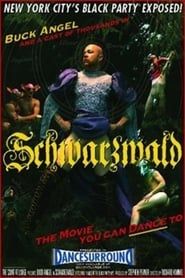 Image Schwarzwald: The Movie You Can Dance To 2008