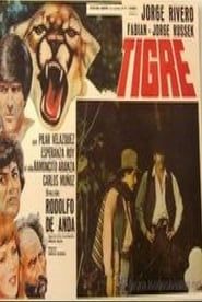 Tigre series tv