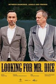 Looking for Mr. Dice series tv