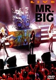Mr. Big: Live-hd