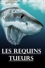 Image Les requins tueurs