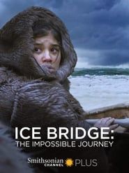 Image Ice Bridge: The impossible Journey