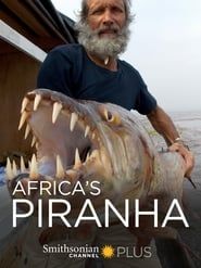 Africa's Piranha-hd