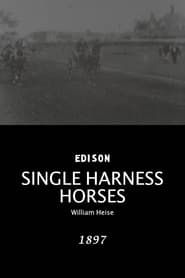 Image Single harness horses