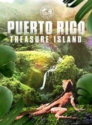 Image Puerto Rico: Treasure Island