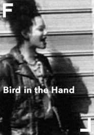 Image Bird in the Hand