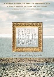 Freeing Bernie Baran series tv