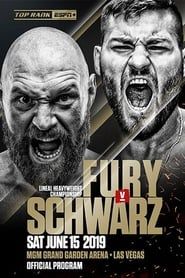 Image Fury vs. Schwarz 2019