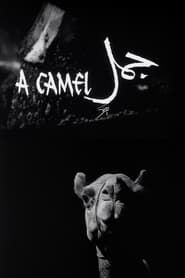 A Camel series tv