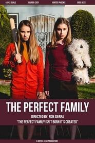 The Perfect Family series tv