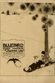 The Greater Law (1917)