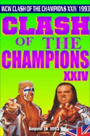 Image WCW Clash of The Champions XXIV 1993