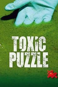 Toxic Puzzle series tv