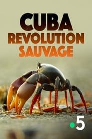 Image Cuba, révolution sauvage