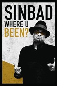 Image Sinbad: Where U Been? 2010