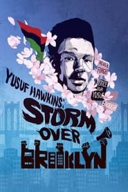 Yusuf Hawkins: Storm Over Brooklyn series tv