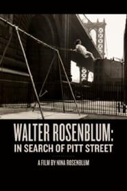 Walter Rosenblum: In Search of Pitt Street series tv