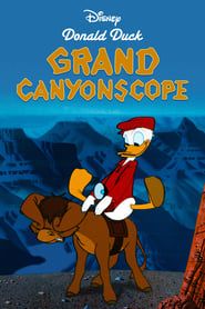 Image Donald visite le Grand Canyon 1954
